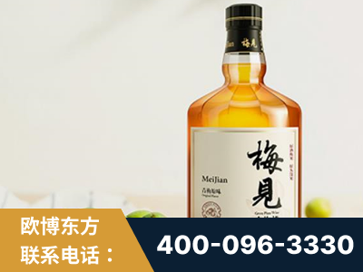 遵义-梅见青梅酒
